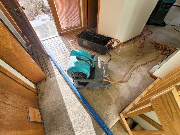 Best Mold removal after water damage  in Mount Wolf, PA