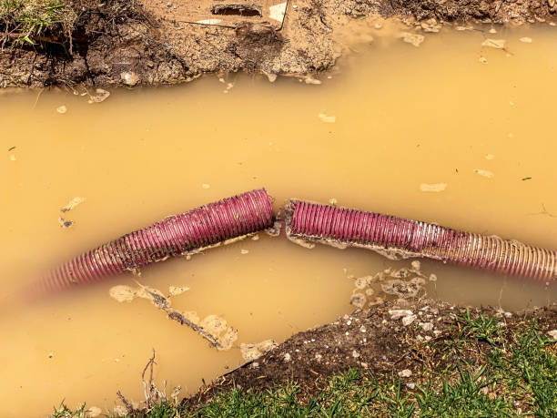 Best Professional water damage repair  in Mount Wolf, PA